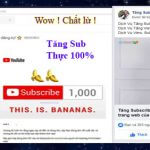 Dịch Vụ Tăng Sub Youtube Chất Lượng