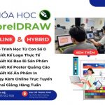 Khóa Học CorelDRAW Online – Thành Thạo Kỹ Năng Thiết Kế Logo, Poster, Banner Ngay Sau Khóa Học