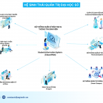 𝐇𝐞̣̂ 𝐬𝐢𝐧𝐡 𝐭𝐡𝐚́𝐢 𝐠𝐢𝐚̉𝐢 𝐩𝐡𝐚́𝐩 𝐀𝐐𝐓𝐞𝐜𝐡 𝐜𝐡𝐨 𝐐𝐮𝐚̉𝐧 𝐭𝐫𝐢̣ 𝐬𝐨̂́