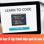 Cách học IT lập trình hiệu quả từ con số 0 trong năm 2026