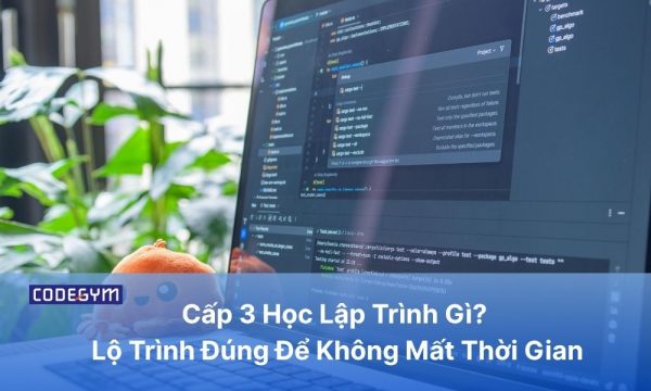 Cấp 3 Học Lập Trình Gì? Lộ Trình Đúng Để Không Mất Thời Gian缩略图